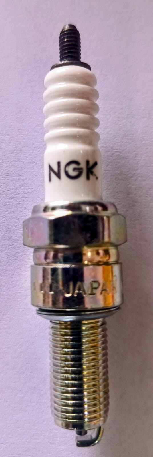 BUJIA NGK CR8E